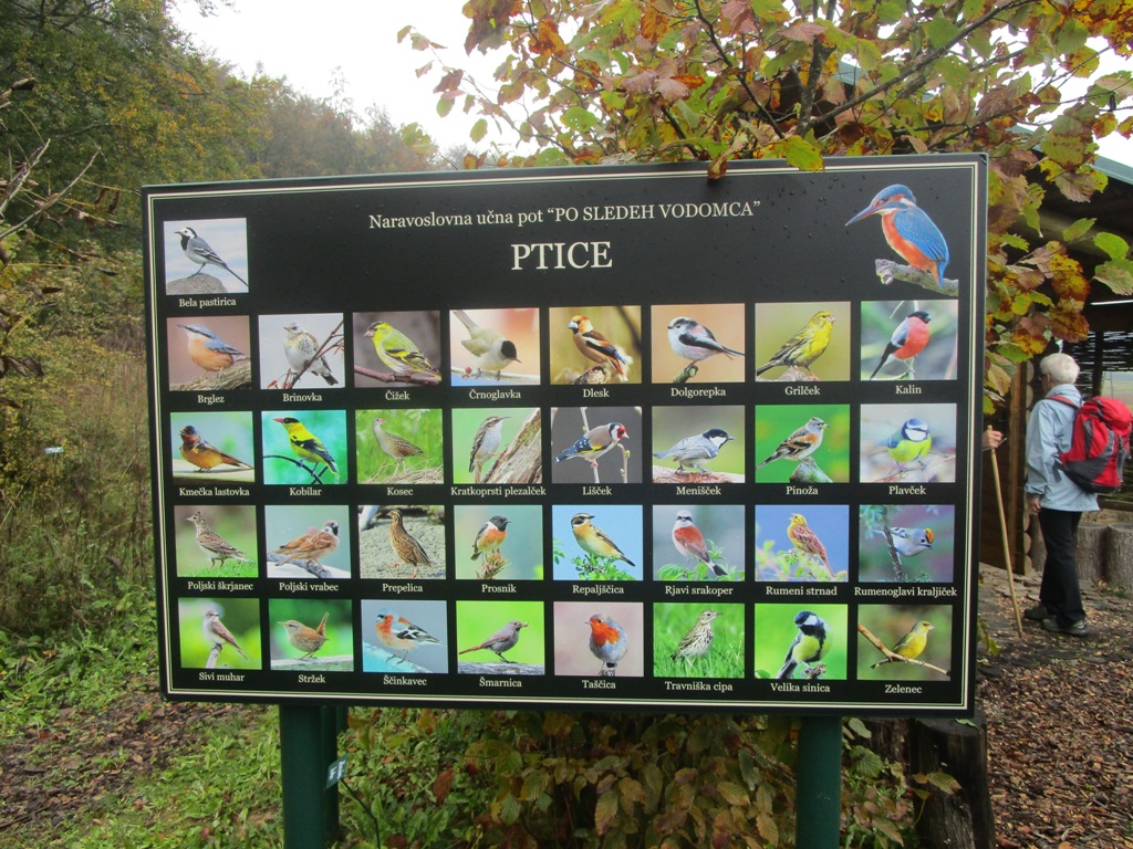 07 10 2018 V NEZNANO10