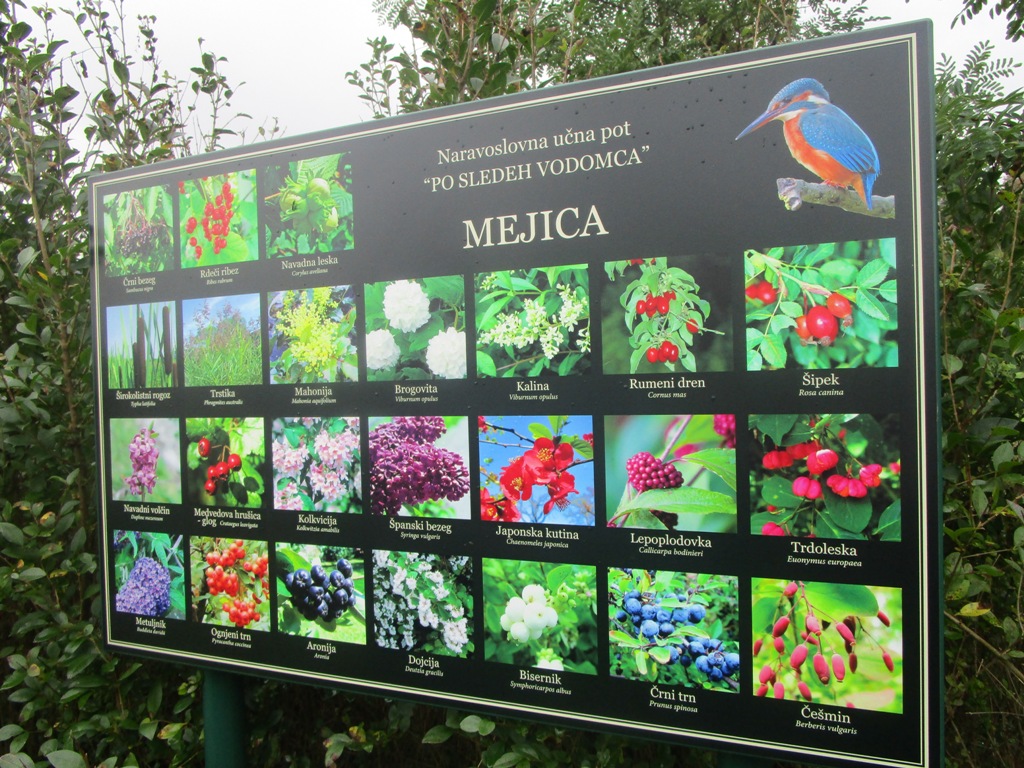 07 10 2018 V NEZNANO16