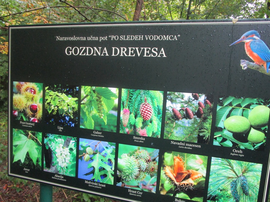 07 10 2018 V NEZNANO9