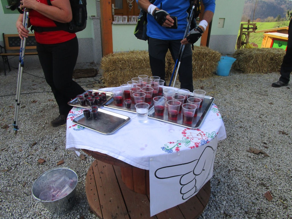 10 11 2018 OD LITIJE5