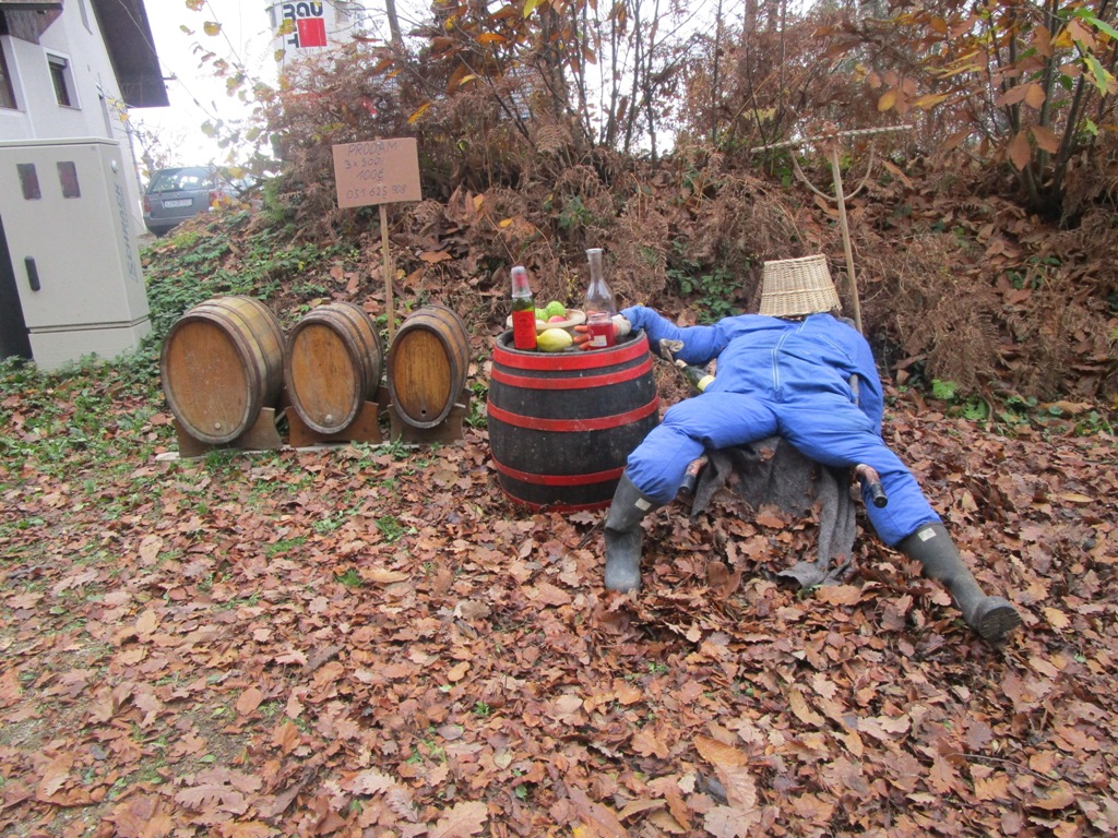 10 11 2018 OD LITIJE6