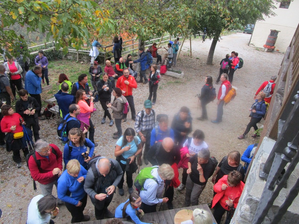 11 11 2018MARTINOV2A