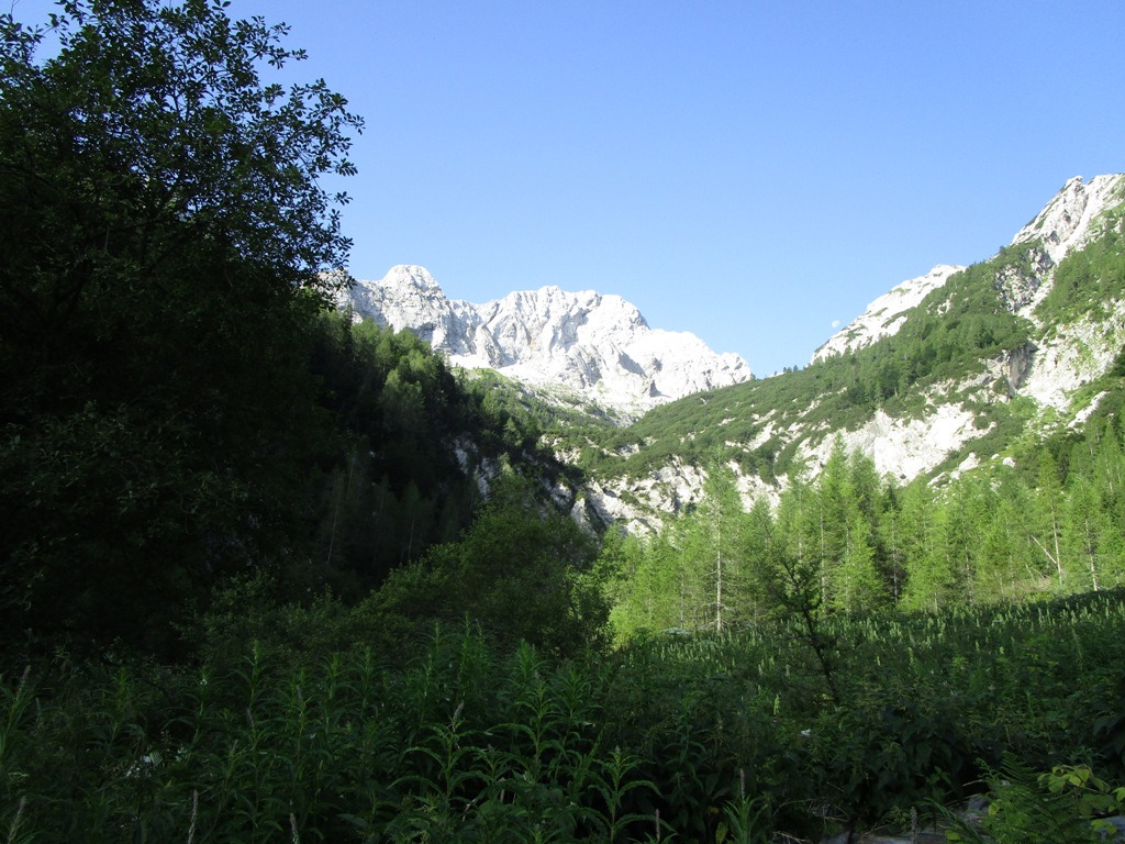 2016 07 BAVŠKI0