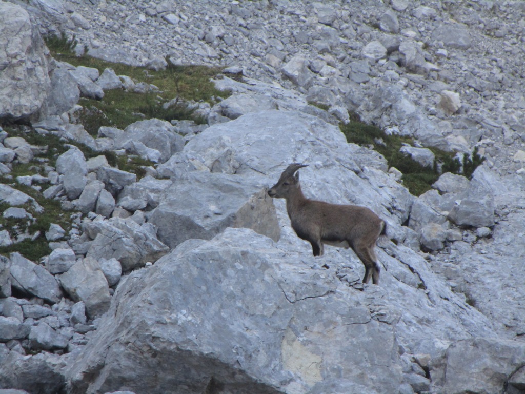 2017 08 TRIGLAV5