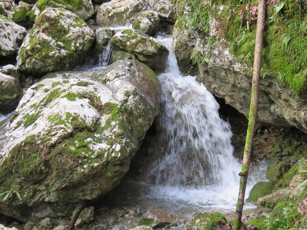 2018 02 ČIČER3