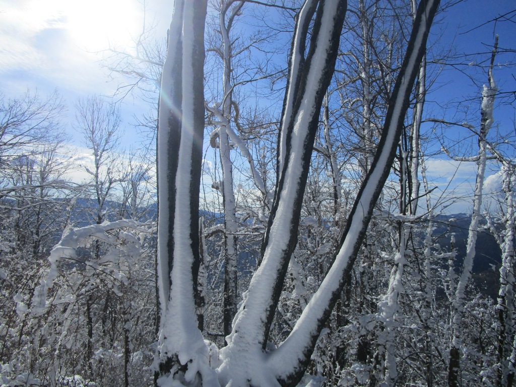 2018 02 ČIČER8