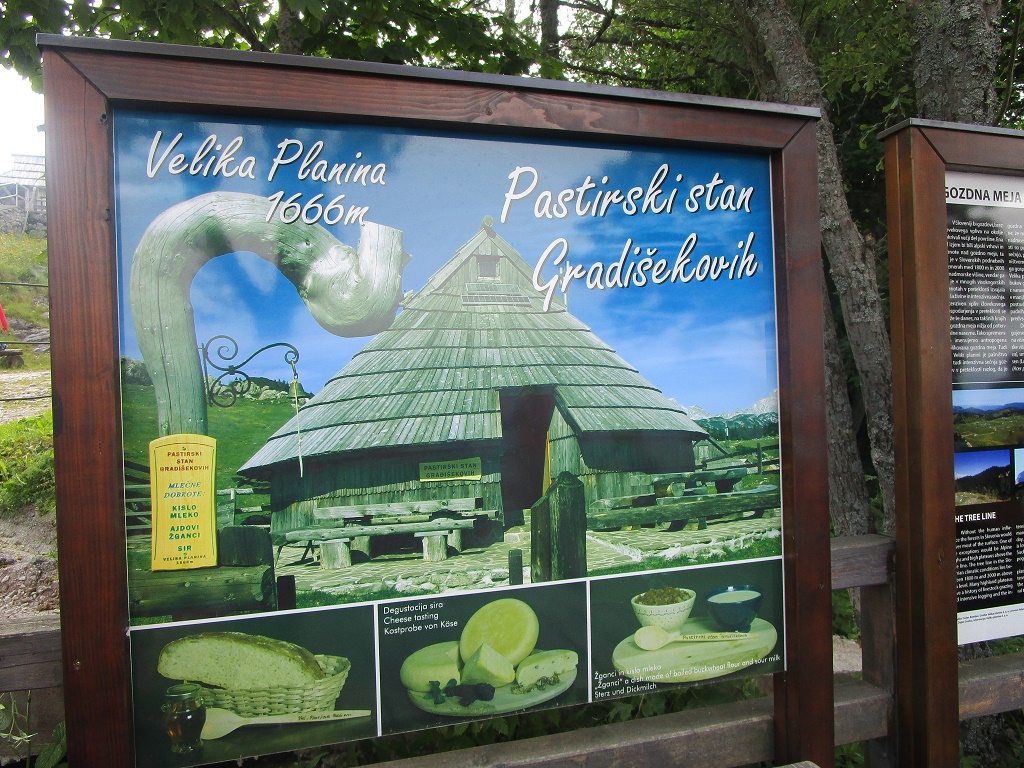 2018 7 VELIKA PLANINA1