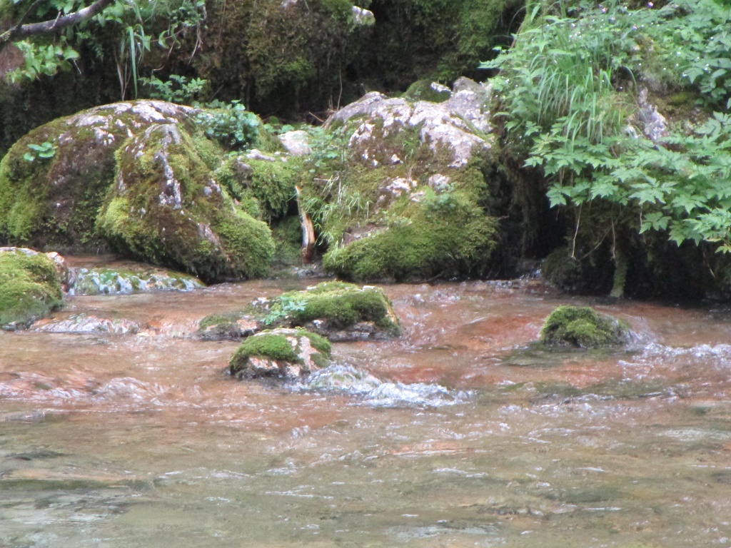 2018 7 VELIKA PLANINA12