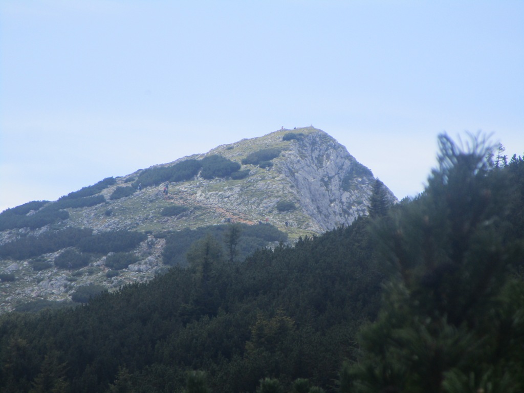 2019 08 štiri15