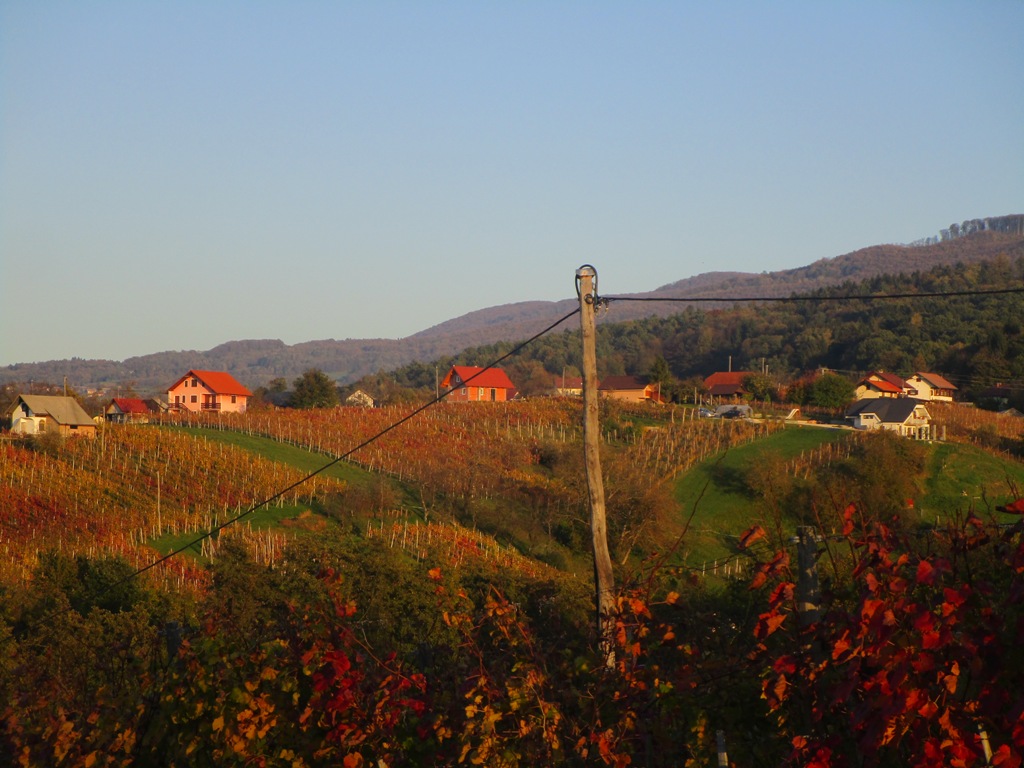 2019 10 V NEZNANO20