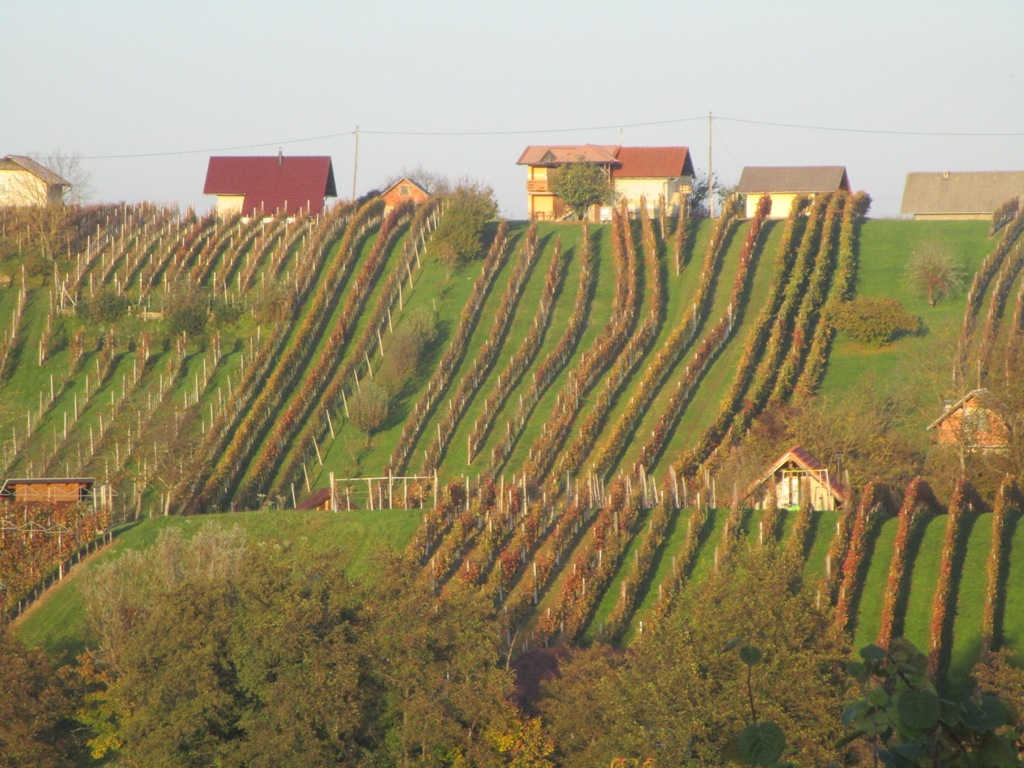 2019 10 V NEZNANO21
