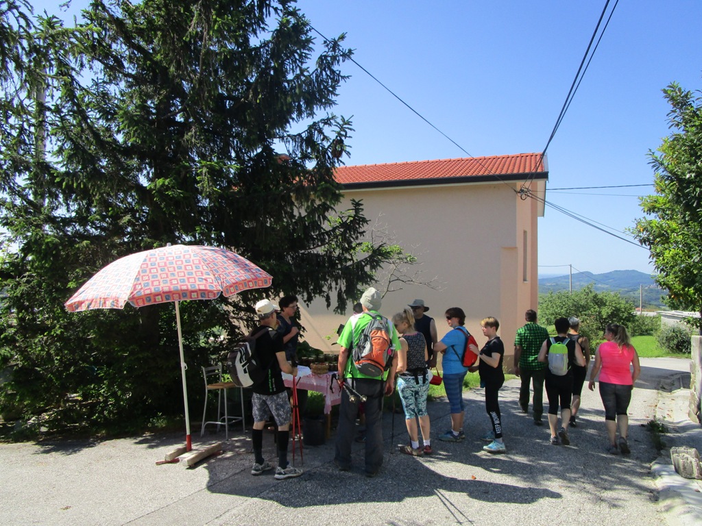 201906 ČEŠNJE12