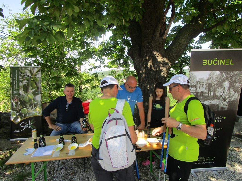 201906 ČEŠNJE18