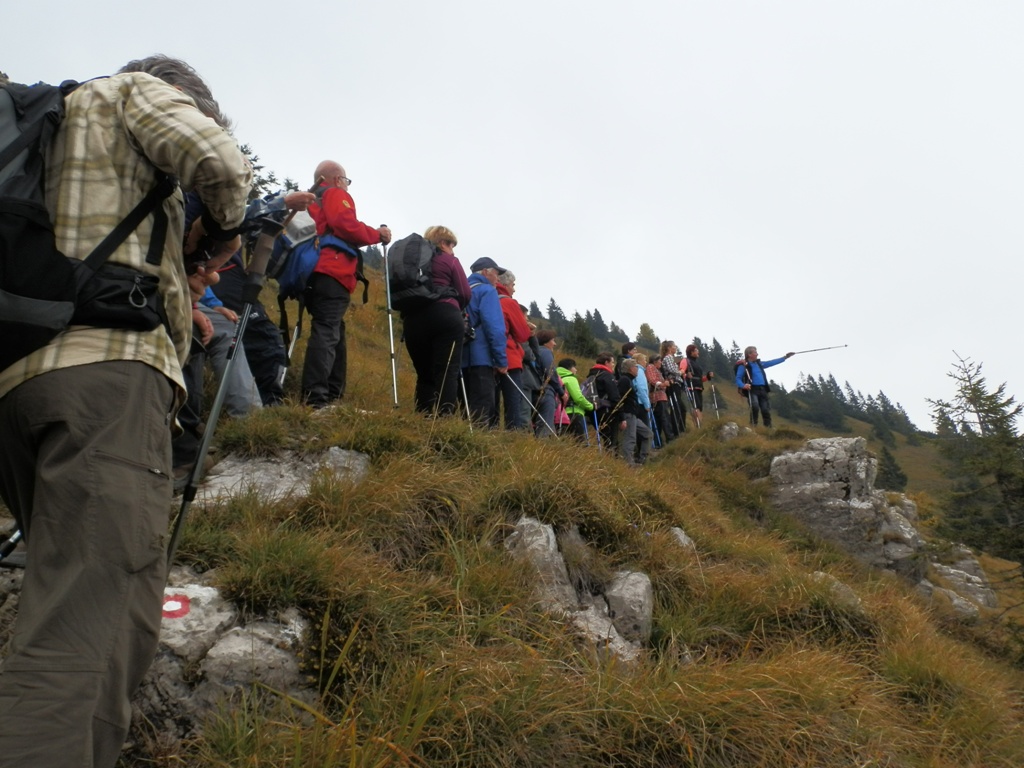 0110 HUDIČEV BORŠT03
