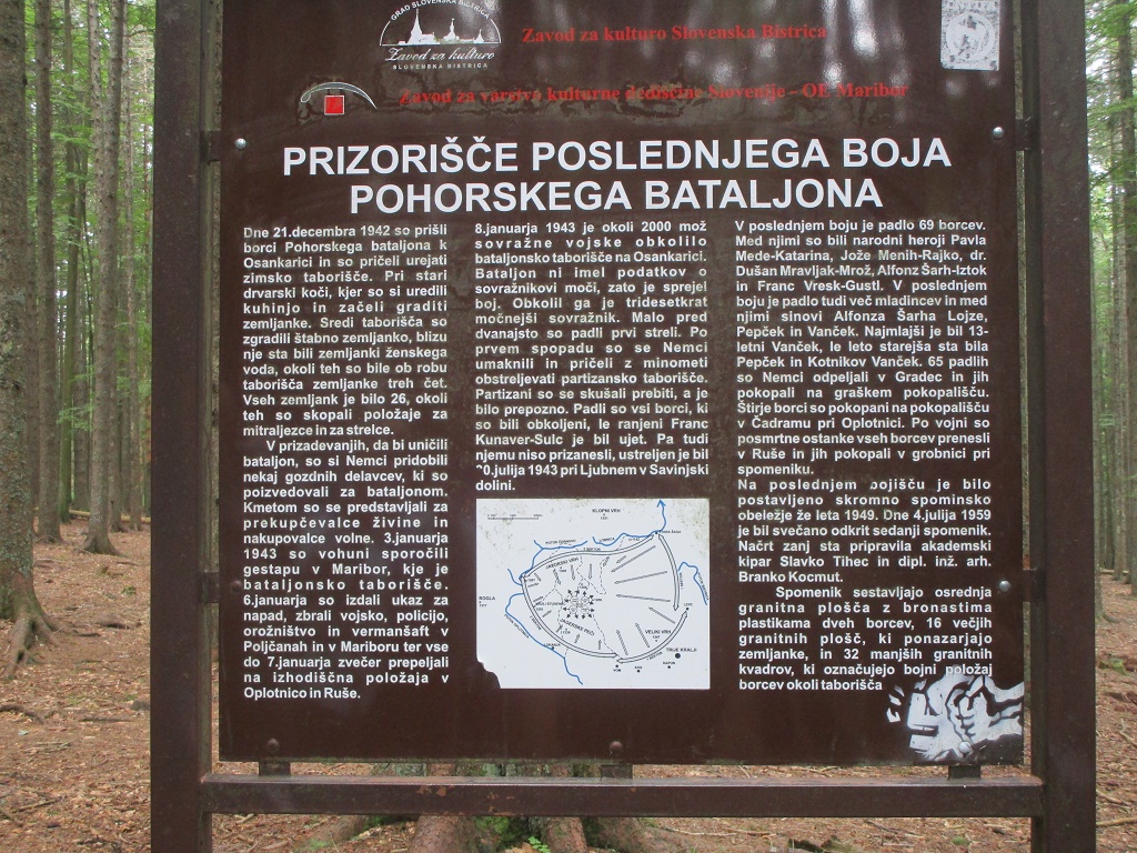 2018 06POHORJE19