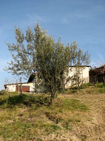 2007 pohod ob meji brez meje sl19