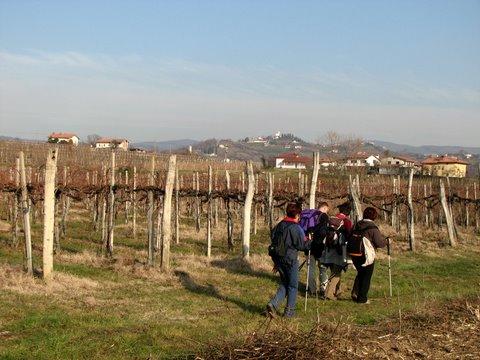 2007 pohod ob meji brez meje sl36