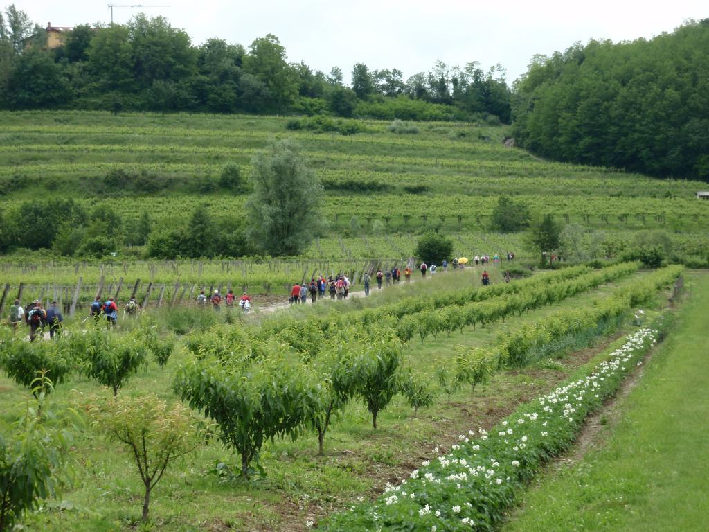 2013 9 pohod od cesnje do cesnje sl10
