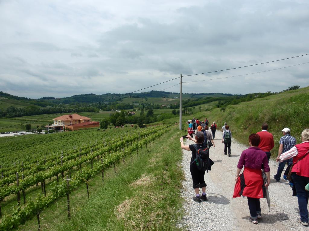 2013 9 pohod od cesnje do cesnje sl3