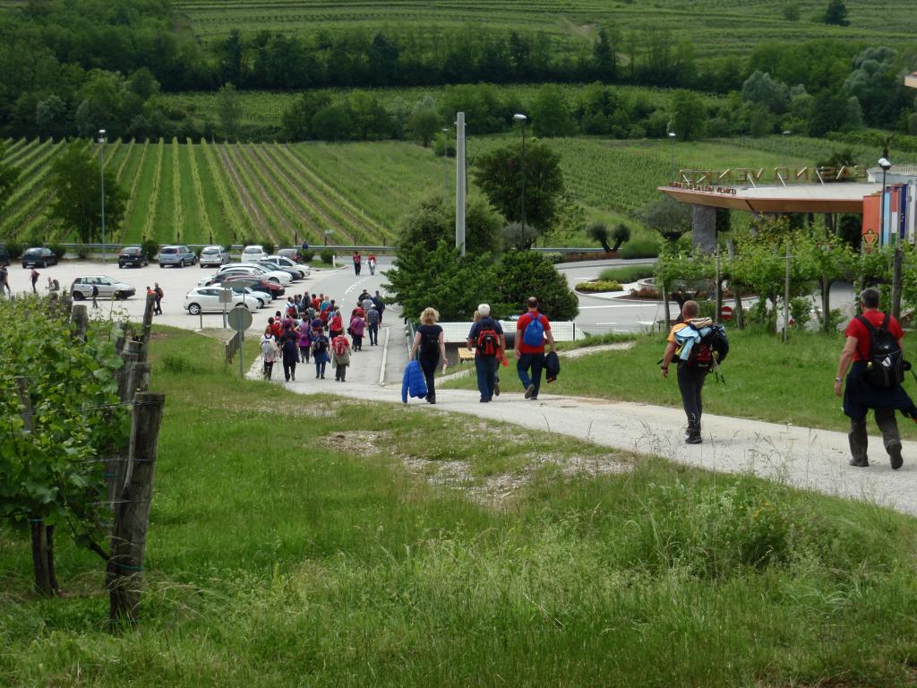 2013 9 pohod od cesnje do cesnje sl7