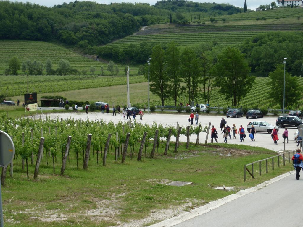 2013 9 pohod od cesnje do cesnje sl8