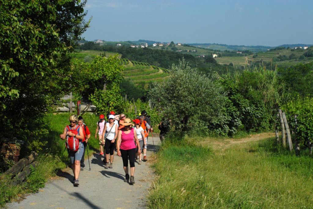 2015 11 pohod od cesnje do cesnje sl8