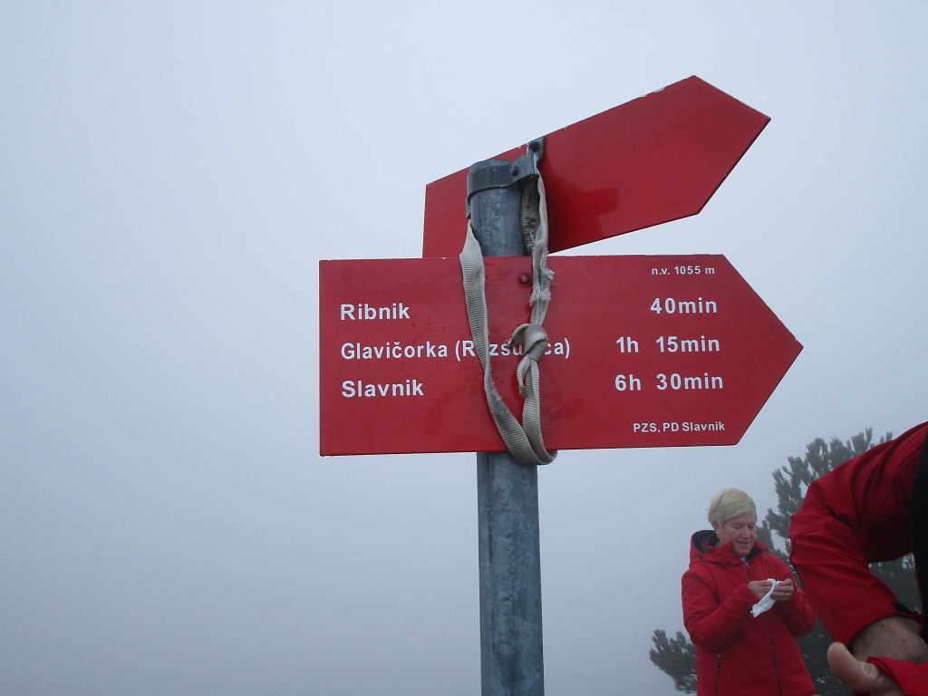 2016 11 OSTRIČ4