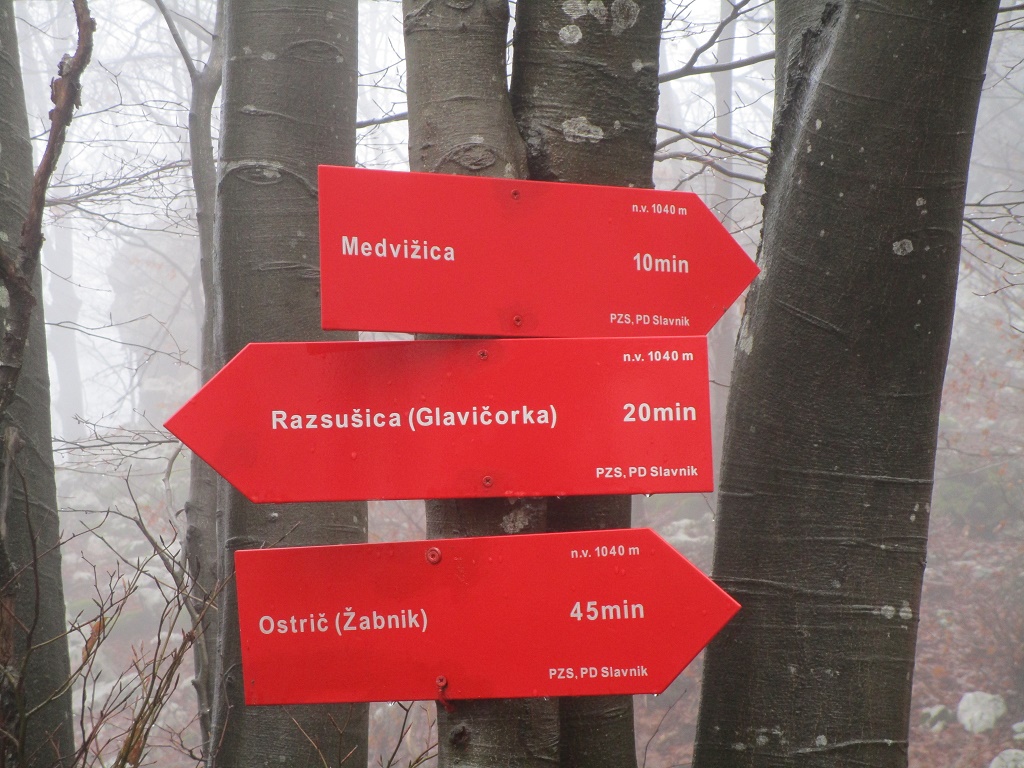 2016 11 OSTRIČ5