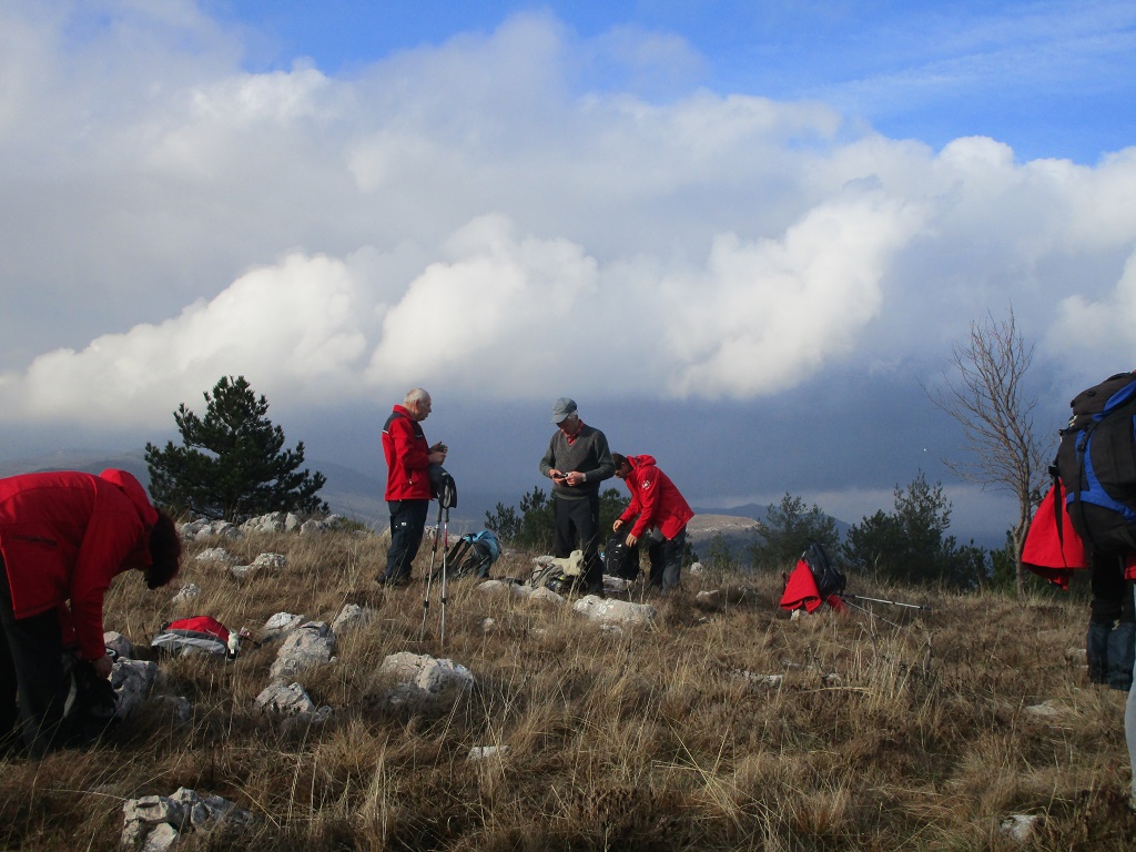 2016 11 OSTRIČ9
