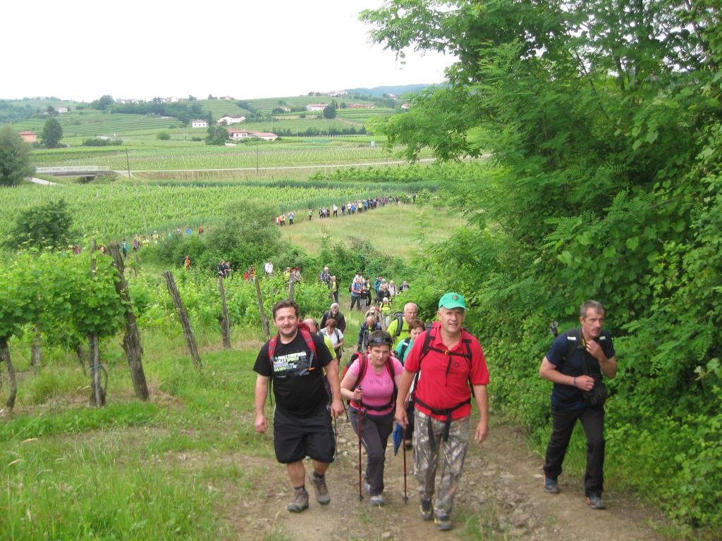 2016 12 pohod od cesnje do cesnje sl5