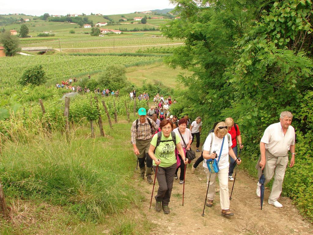 2016 12 pohod od cesnje do cesnje sl6