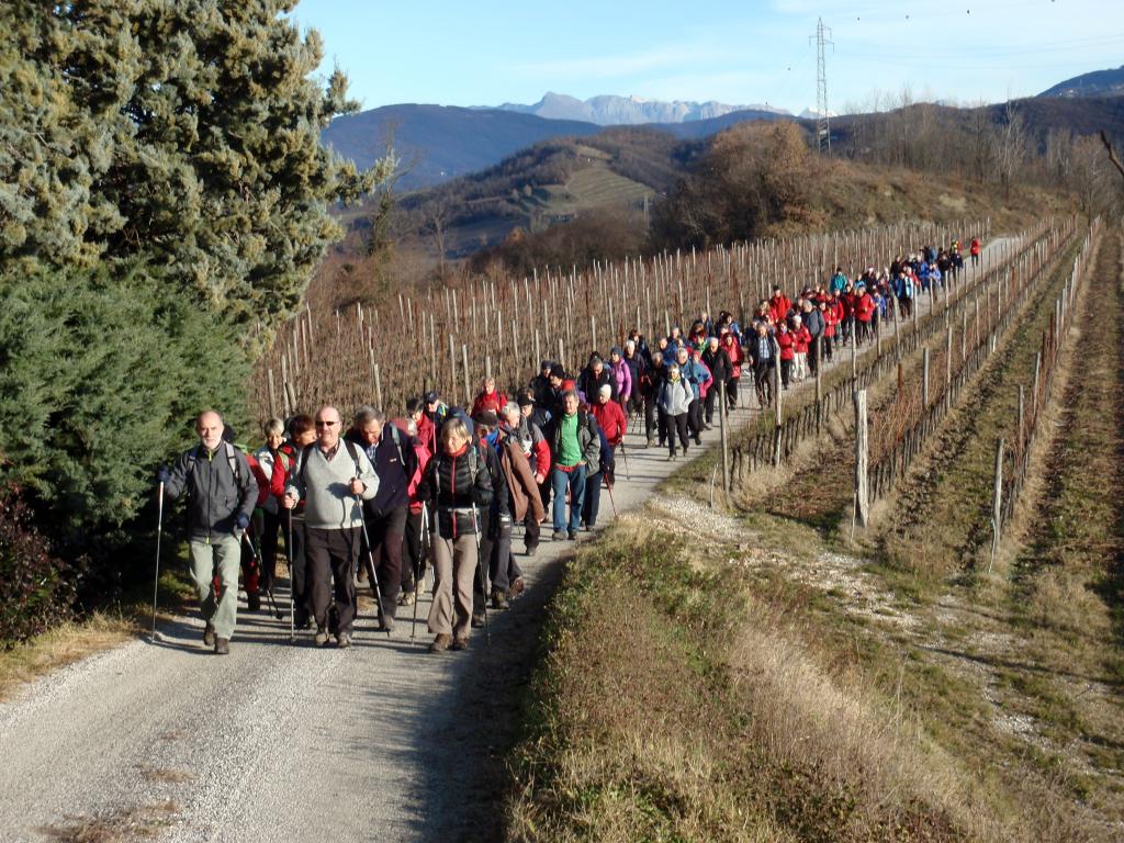 2016 pohod ob meji brez meje sl4
