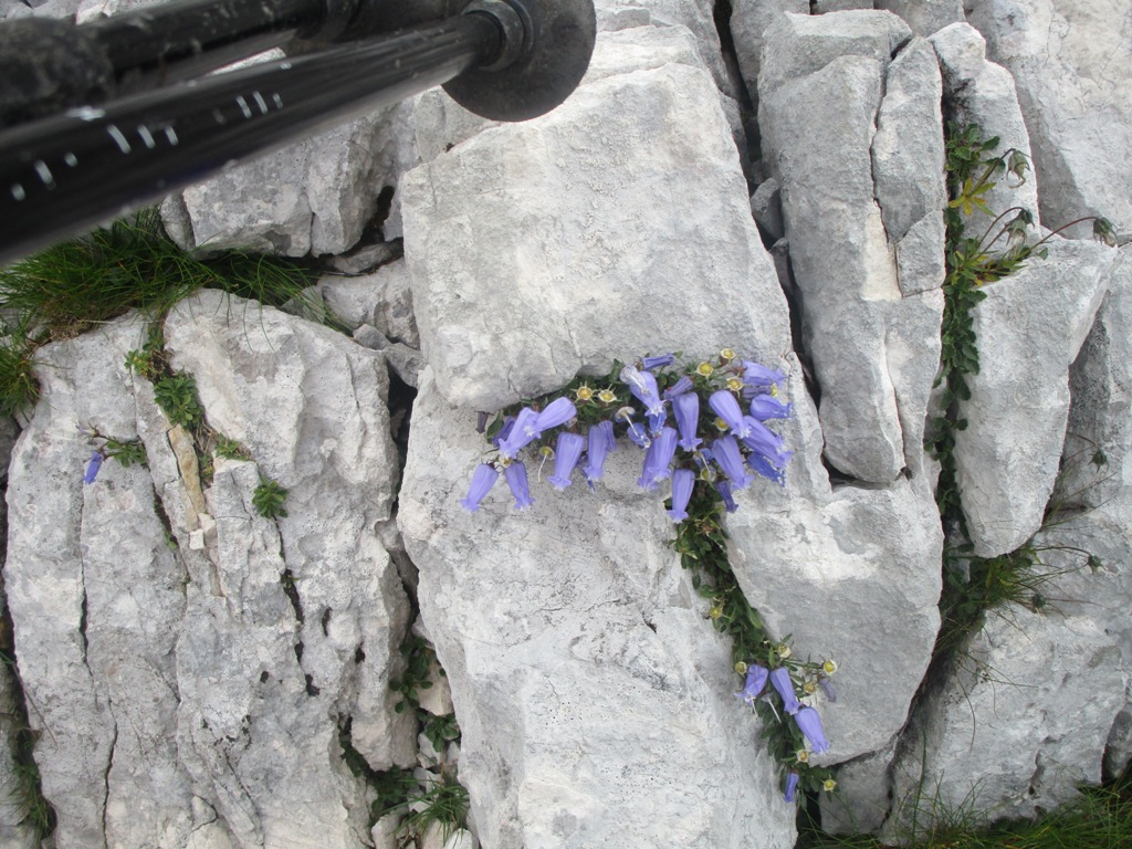 2019 08 koroška3