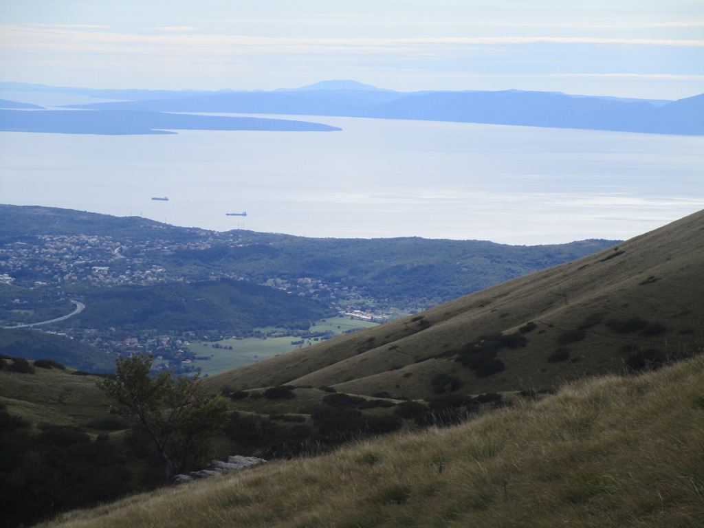 2019 10 MUDNA14