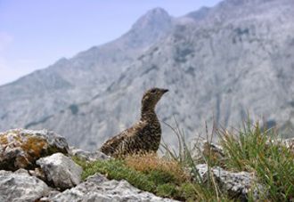 pohod kamnisko savinjske alpe sl13