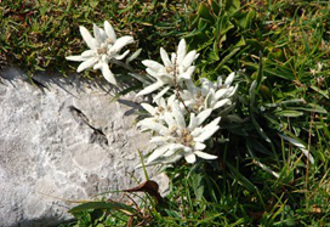 pohod kamnisko savinjske alpe sl5